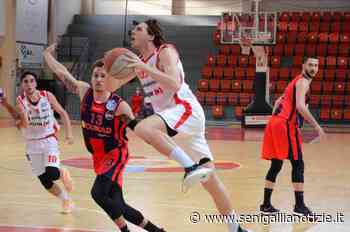 Basket: Filippo Cicconi Massi a Jesi - Senigallia Notizie