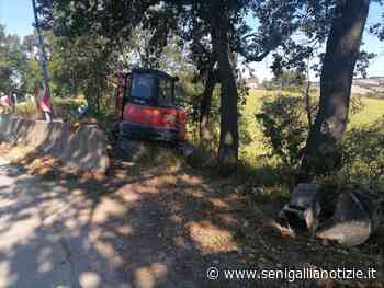 Senigallia: iniziati i lavori sulla strada Roncitelli-Cannella - Senigallia Notizie