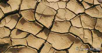 Wegen Dürre: Mühlenkreis verbietet Wasserpumpen an Bächen und Flüssen - Mindener Tageblatt