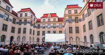 Tettnang: Open-Air-Kino kommt gut bei Zuschauern an - Schwäbische