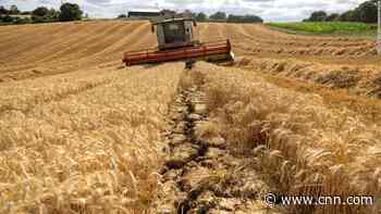 Russia is not the sole cause of global food crisis