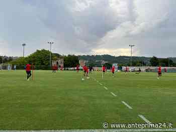 Benevento, primo allenamento a porte aperte: tutti in campo per il Genoa - anteprima24.it
