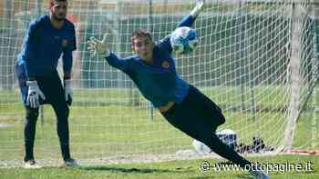 Benevento, Nunziante convocato in Nazionale - Ottopagine