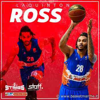 Ufficiale, i Mantova Stings firmano l'ala Laquinton Ross - Serie A2 - Basketmarche.it