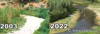 Le altre estati record della siccità a Prato - tvprato.it