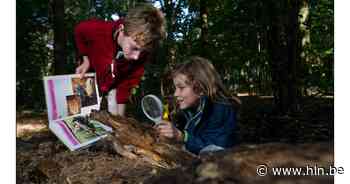 Leer alles over kriebelbeestjes met Kidslab | Brugge | hln.be - Het Laatste Nieuws
