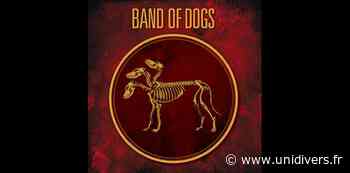 Band of Dogs & Invités LE TRITON vendredi 16 septembre 2022 - Unidivers