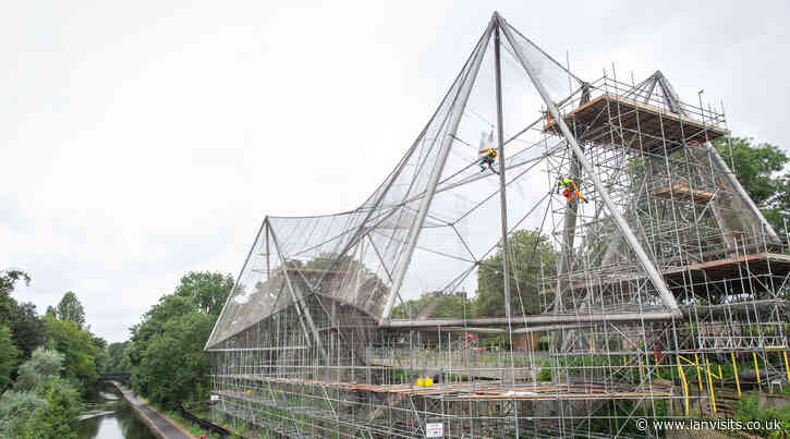 London Zoo moves monkeys into its aviary