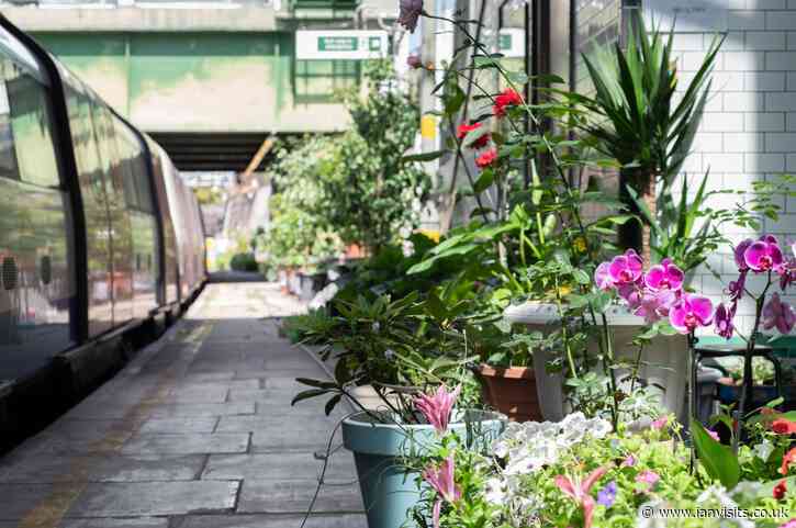 London’s railway stations going green with pocket gardens