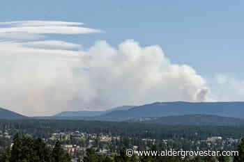 Wildfire south of Cranbrook grows to estimated 500 hectares - Aldergrove Star