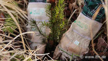 Fulda: Baum-Pflanzaktion anlässlich der Landesgartenschau 2023 - HIT RADIO FFH