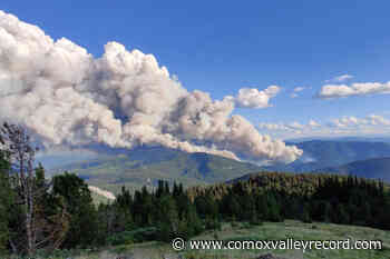 Rain, cooler temperatures give B.C. wildfire fighters a brief reprieve - Comox Valley Record