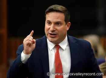 Government to use regulation to ban handgun imports in two weeks - Comox Valley Record