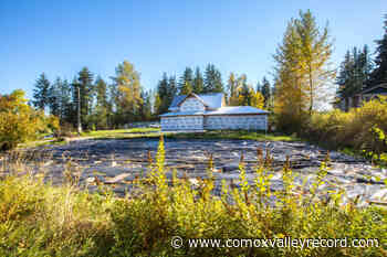 Delays expected for building permits in Comox Valley - Comox Valley Record