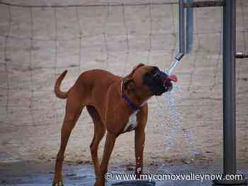 CVRD offers tips to stay cool - My Comox Valley Now