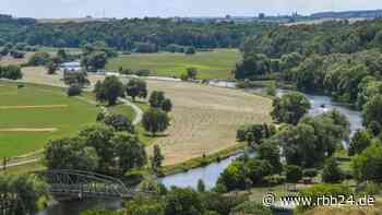 31. Internationales Landschaftspleinair: Künstlerinnen und Künstler lassen sich in Schwedt vom Wasser inspirieren - rbb24