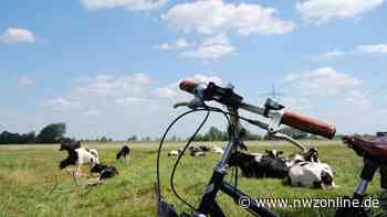 Geführte Fahrradtour von Westerstede aus bietet Informationen über Alltag auf einem Bauernhof - Nordwest-Zeitung