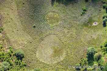 Limburg dankzij de Maas nog lang niet uitgedroogd, maar de natuur heeft het moeilijk - De Limburger