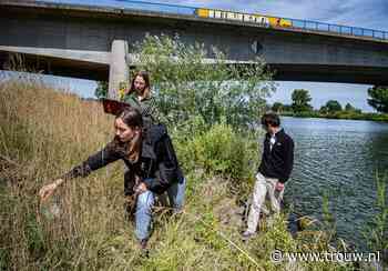 Plastic, drijvende kliko's. De Maas raakte zwaar vervuild door hoogwater in Limburg - Trouw