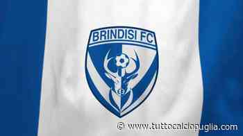 TCP - Brindisi, per il centrocampo si segue un classe 2004 - TuttoCalcioPuglia.com