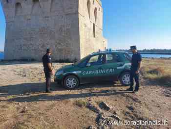 Forestali: "Nel brindisino situazione sotto controllo" - L'Ora di Brindisi