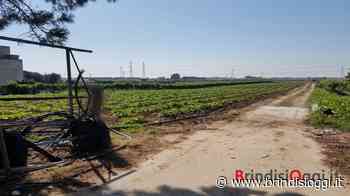 Cia Puglia: “Cartelle pazze, serve subito una sanatoria tombale” - Brindisi Oggi, news Brindisi notizie Brindisi e provincia - BrindisiOggi