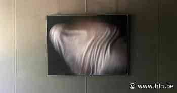 Topfotograaf exposeert in voormalig dodenhuisje | Brasschaat | hln.be - Het Laatste Nieuws