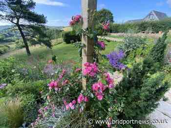 Painter's garden open in West Milton, Bridport | Bridport and Lyme Regis News - Bridport and Lyme Regis News