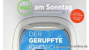 Im neuen Sonntags-E-Paper der WAZ: Der Saisonstart des VfL Wolfsburg - Wolfsburger Allgemeine