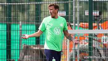 VfL Wolfsburg: Max Kruse fährt mit 800 PS auf die Bank - BILD