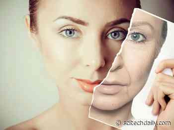 Human Longevity: How Your Grandparents Are the Secret to Your Long Life