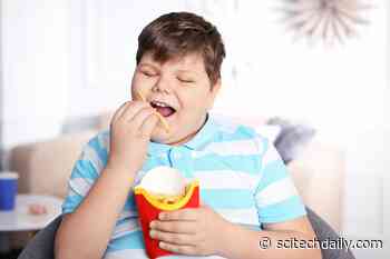 Bad News: Childhood Obesity Is Becoming Far More Common