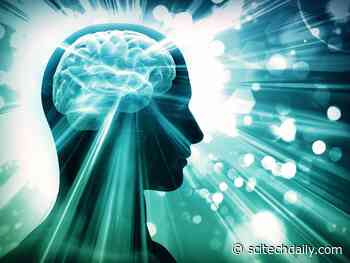 Stanford Neuroscientist: Rejuvenating Aging Brains