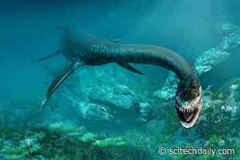 Scientists Solve a 120-Year-Old Mystery: How Did the Monstrous Plesiosaurs Swim?