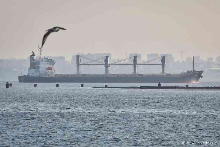 3 more ships with grain depart Ukraine ports under UN deal - The Associated Press