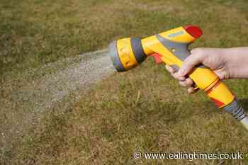 Neighbours asked to grass on hosepipe rule-breakers - Ealing Times