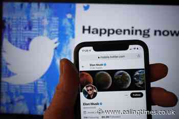 Twitter labels Elon Musk claims over fake accounts 'excuses' - Ealing Times