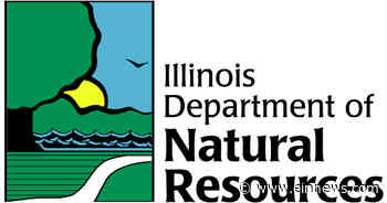 Invasive silver carp removed from Lake Calumet - EIN News