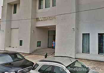 El tortuoso camino de la queja/ Opinión - plumas libres