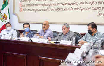 Aprueba Cabildo de Xalapa proyecto de decreto por «Ley Nahle» - plumas libres