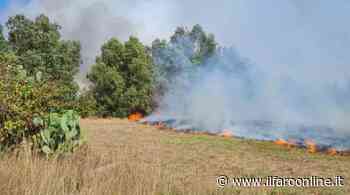 Prevenzione incendi ad Ardea, il Sindaco firma l'ordinanza - Il Faro Online - Il Faro online