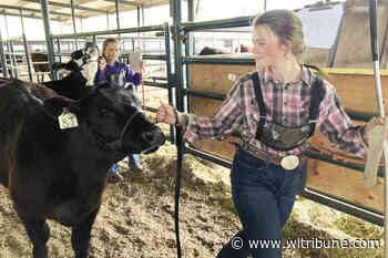 64th annual 4-H Show and Sale this weekend in Williams Lake - Williams Lake Tribune