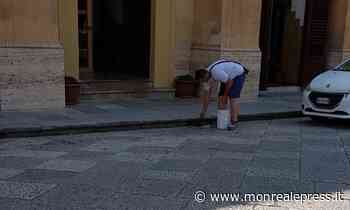 Nuovi interventi di derattizzazione a Monreale e nelle frazioni - Monreale Press