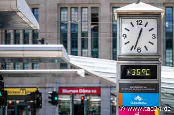 Chemnitz heizt sich Jahr für Jahr mehr auf: So stark bedroht der Klimawandel die Stadt - TAG24