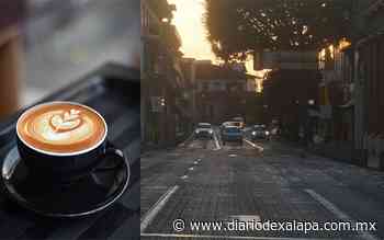 ¿Te gusta el café humeante? Harán tour por cafeterías de Xalapa con todos los sabores - Diario de Xalapa