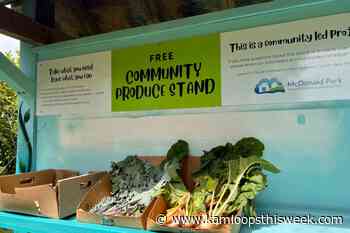 McDonald Park Neighbourhood Association's free produce stand - Kamloops This Week