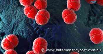 Meningococcal alert issued for NSW - Bay Post-Moruya Examiner