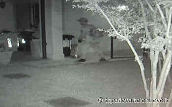 Ancora predoni a Vigonza, un residente: Sono uscito col bastone, ma ora c'è paura VIDEO - TG Padova