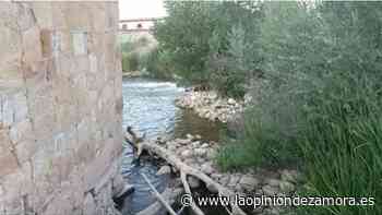 Las aceñas de Gijón de Zamora ven la luz - La Opinión de Zamora