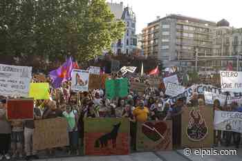 Zamora sale a la calle para protestar contra la gestión de los incendios: “¡Más bomberos, menos consejeros!” - EL PAÍS